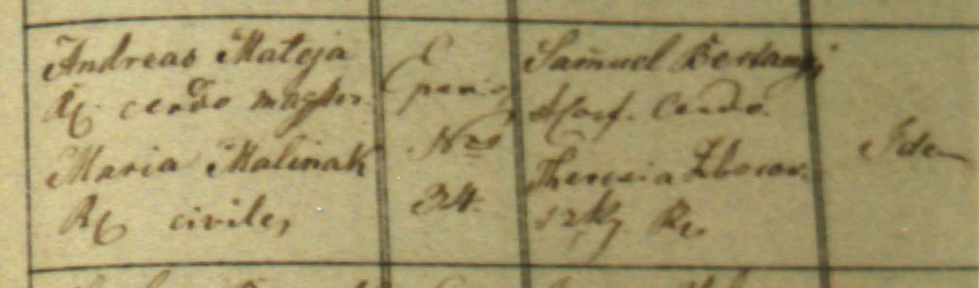 Right Page of Birth Record