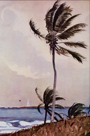 Palm Tree, Nassau. Winslow Homer.